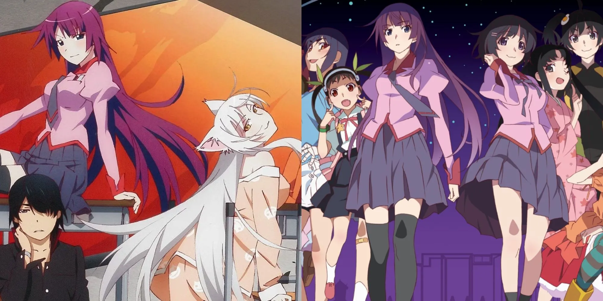 Koyomi Araragi và những cô gái trong Monogatari Series