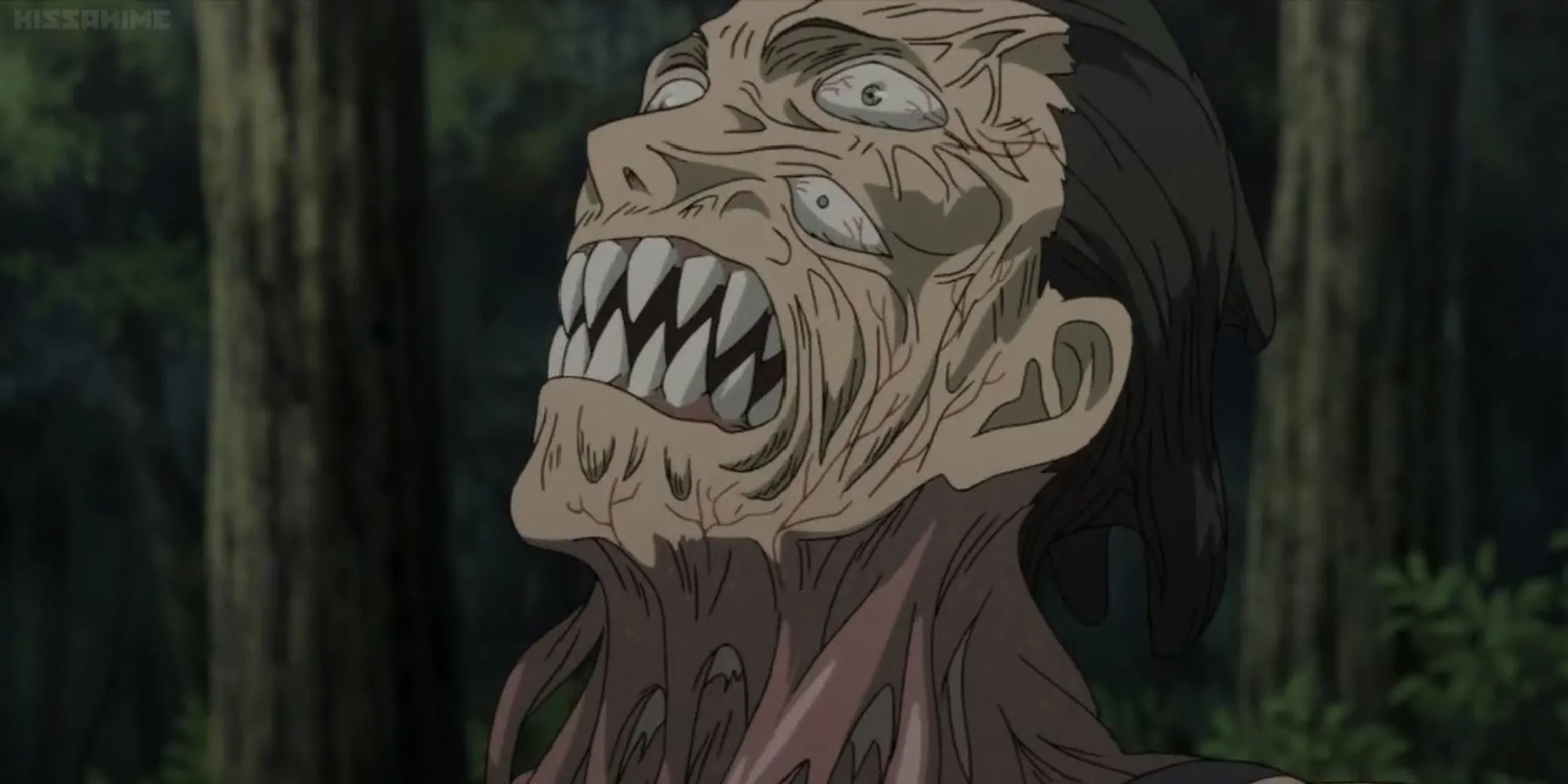 Shinichi Izumi và Migi trong anime Parasyte The Maxim