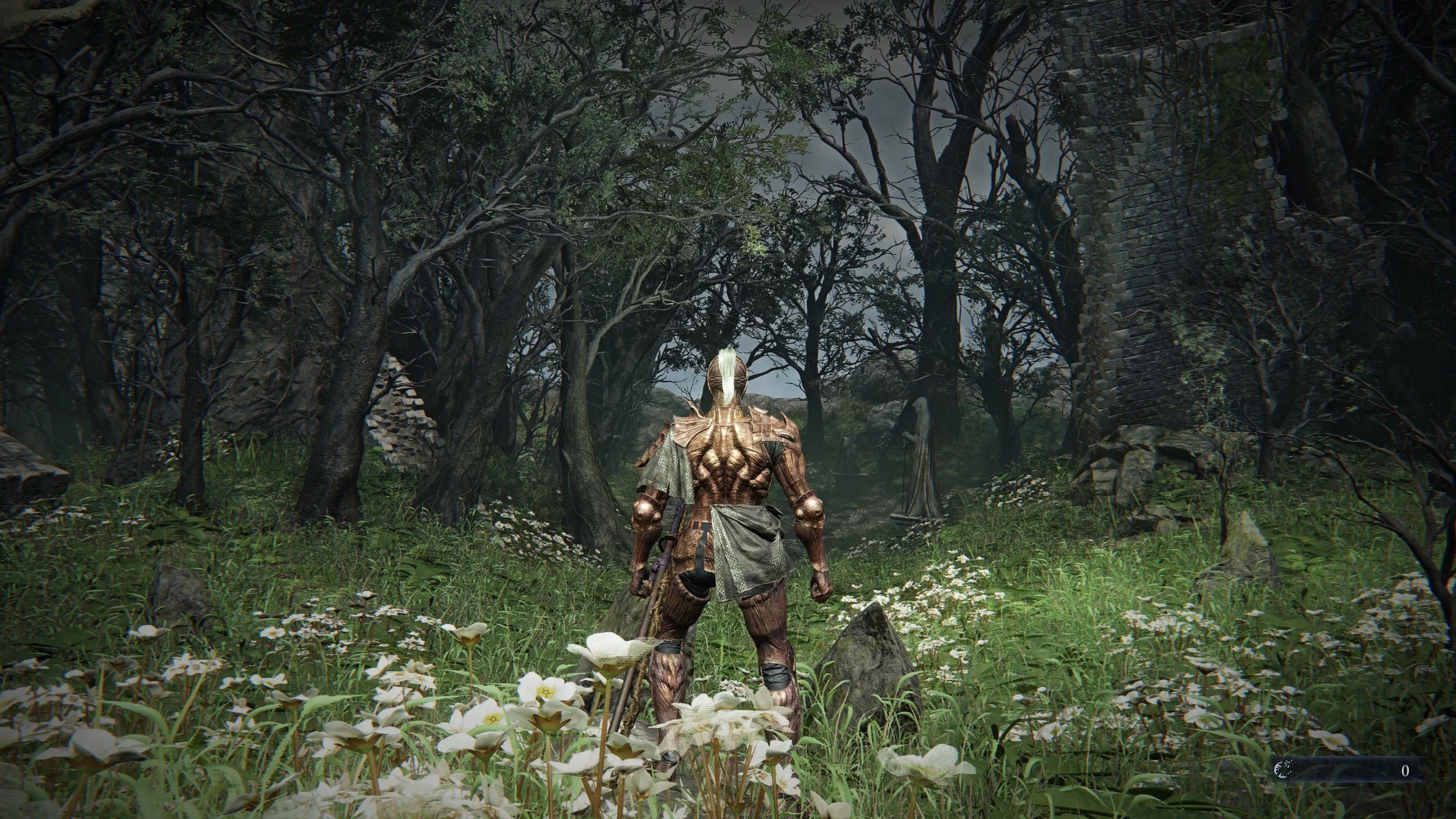 Elden Ring Nightreign forest