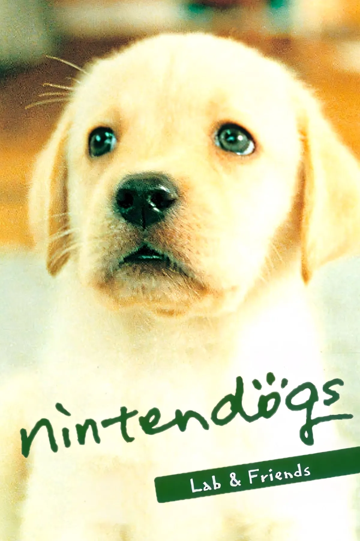 Bìa game Nintendogs trên Nintendo DS, gợi nhớ về thời kỳ hoàng kim của thú cưng ảo