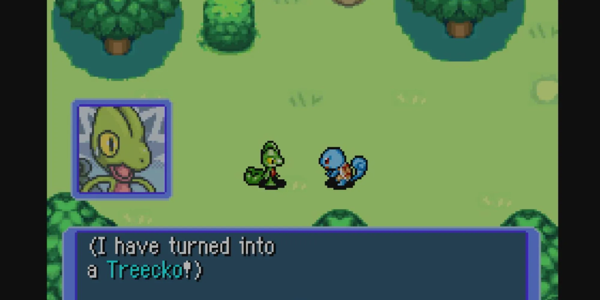 Nhân vật chính Treecko và Squirtle trong khung cảnh huyền ảo của Pokémon Mystery Dungeon: Red Rescue Team, khám phá bí ẩn về sự biến đổi.