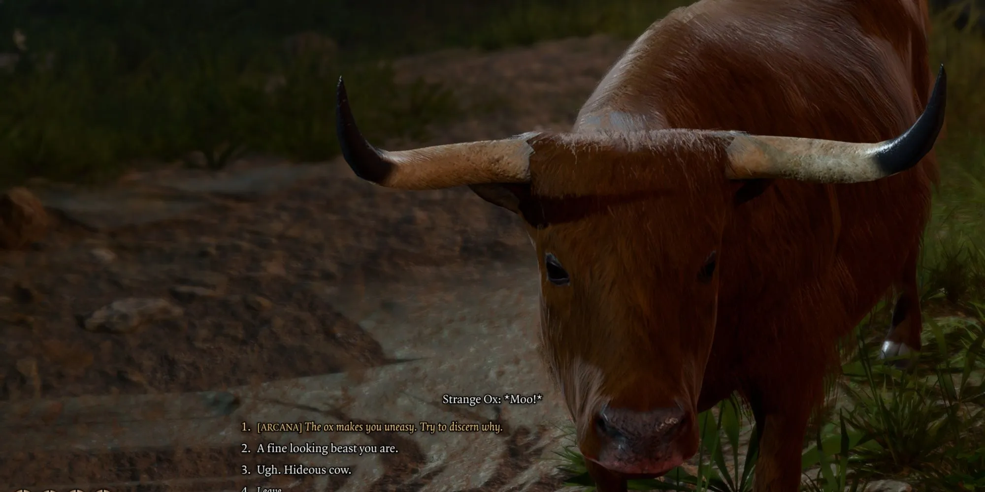 Tav sử dụng phép Speak with Animals để trò chuyện với con Bò Lạ (Strange Ox) bí ẩn trong nhiệm vụ ẩn Baldur's Gate 3.