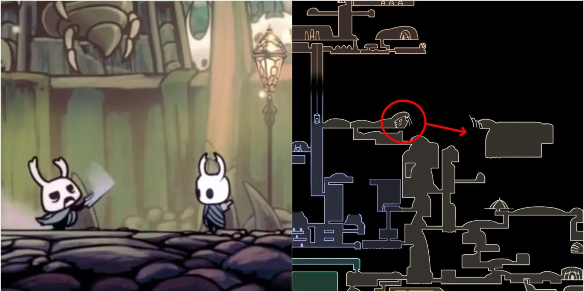 Zote the Mighty xuất hiện trong Đấu Trường Kẻ Ngu (Colosseum of Fools) của Hollow Knight, một bước để gặp Grey Prince Zote
