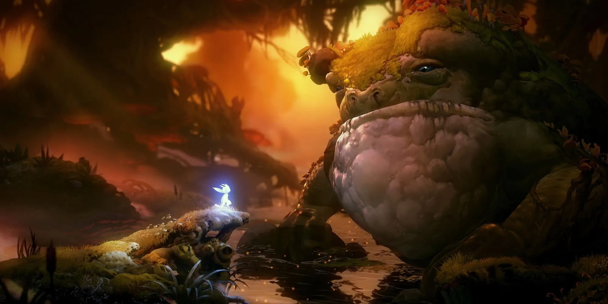 Cảnh con ếch khổng lồ trong Ori and the Will of the Wisps