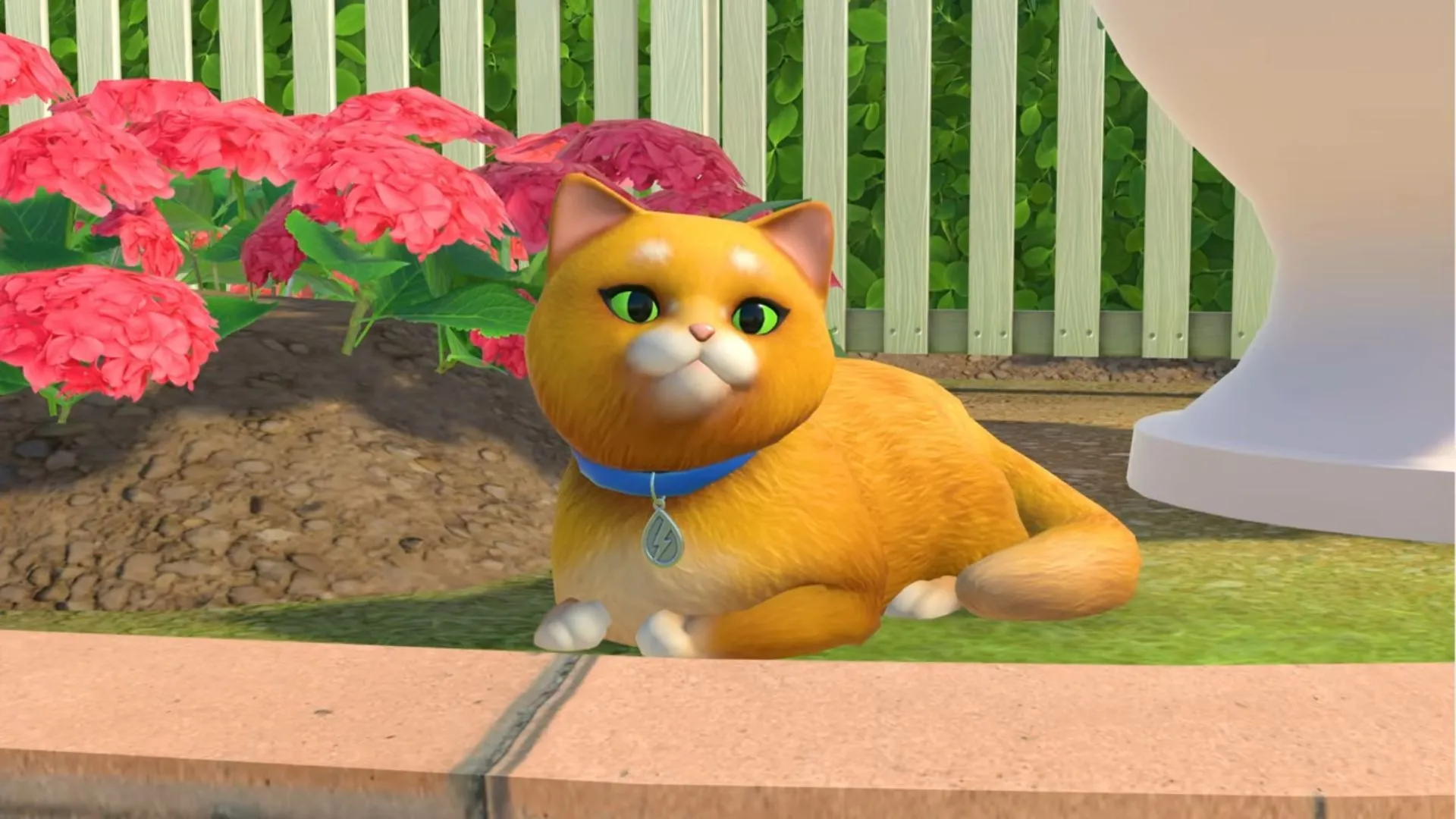 Chú mèo trong PowerWash Simulator 2 ngồi cạnh máy rửa áp lực, minh họa tính năng thú nuôi trong game