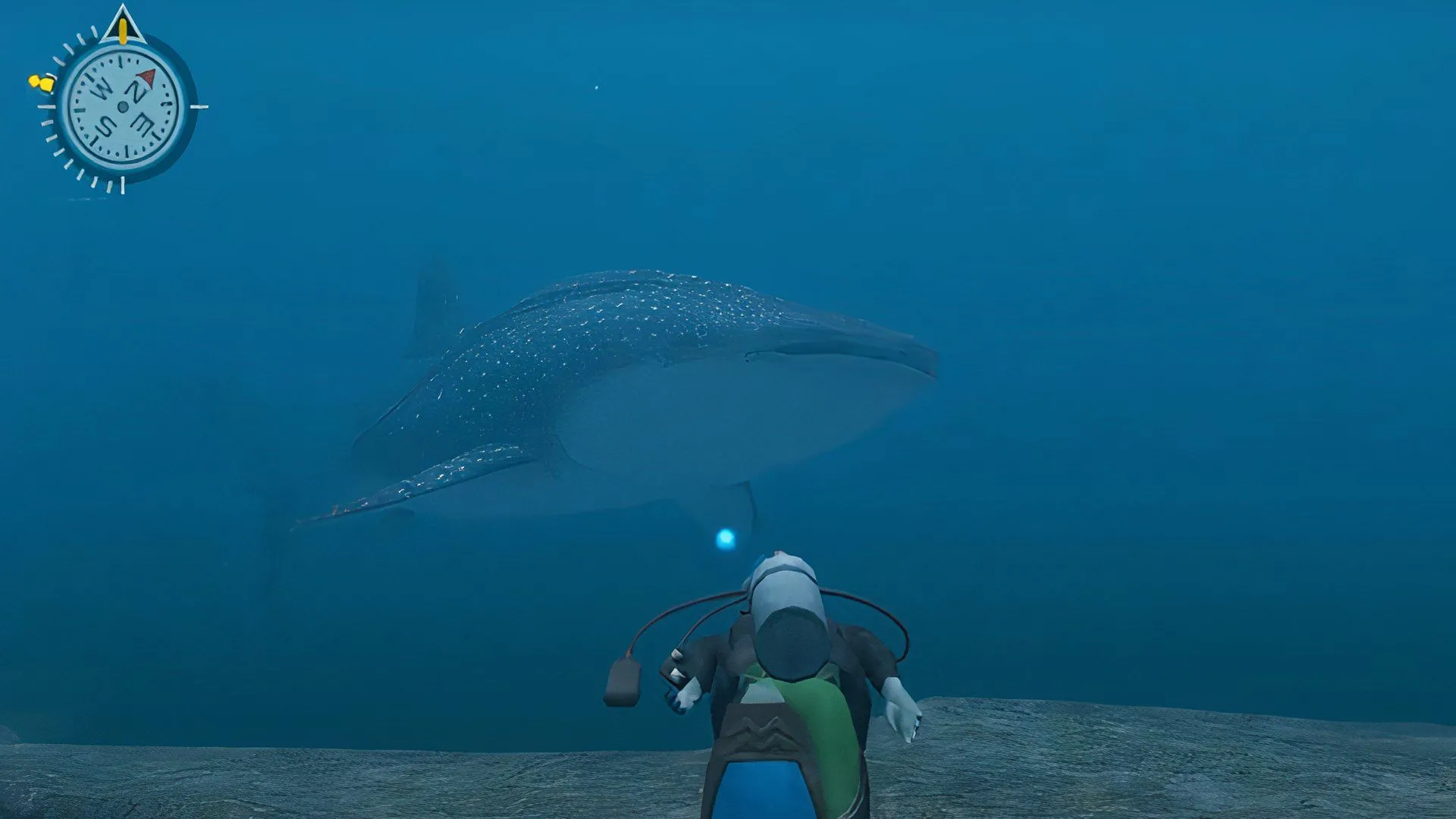 Gameplay Endless Ocean với cá mập voi, mô tả trải nghiệm quan sát và tương tác ôn hòa với đời sống biển