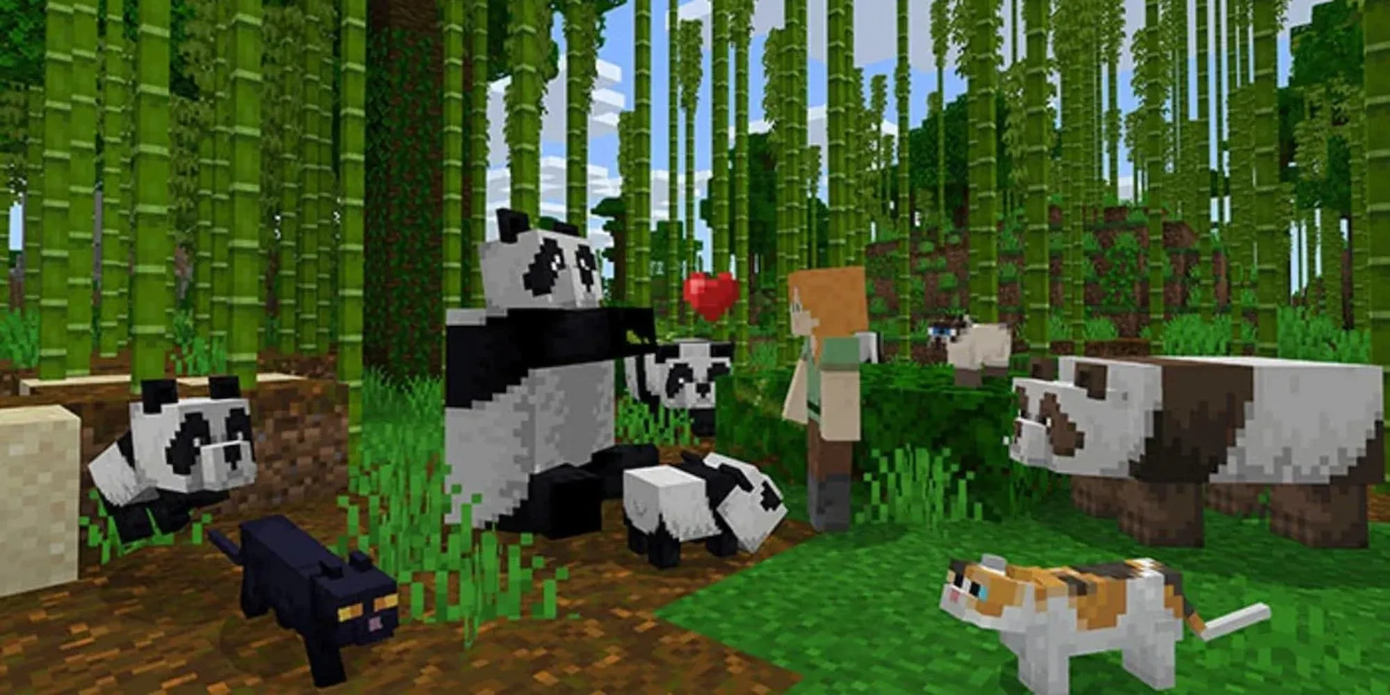 Khung cảnh khám phá rừng tre với panda và cat trong Minecraft, sandbox giáo dục cho trẻ