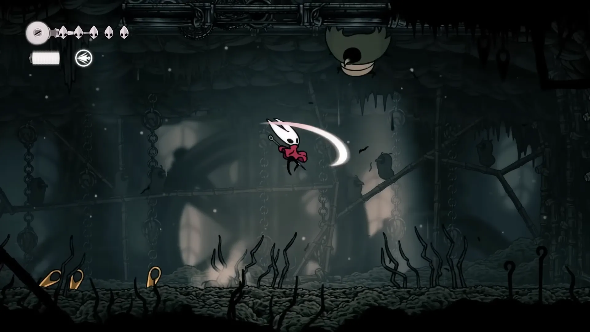 Squatcraw bay né đòn, Greymoor