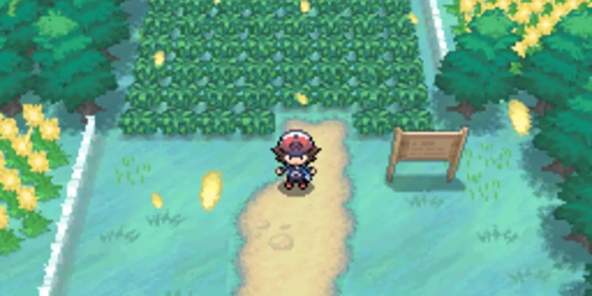 Standing in a Field in Pokemon Black