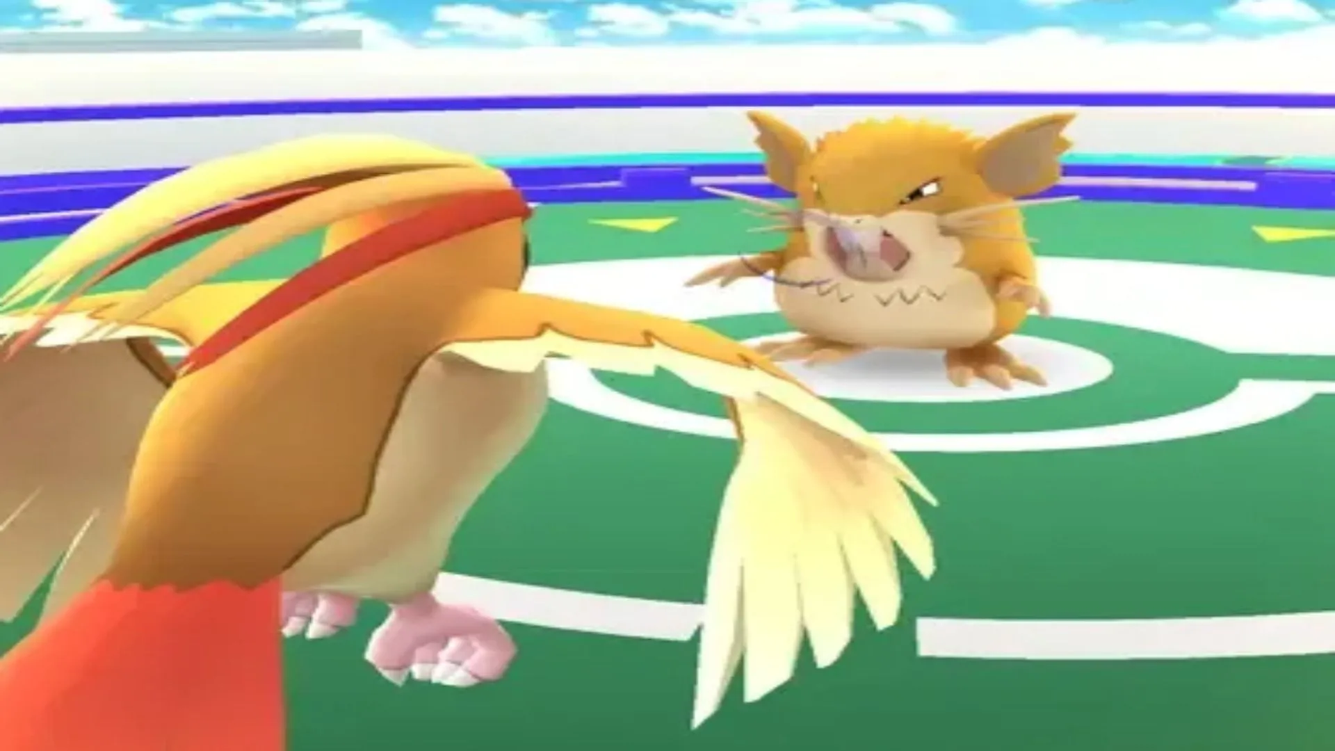 Trận đấu Pokémon GO giữa Pidgeot và Raticate, khuyến khích khám phá ngoài trời